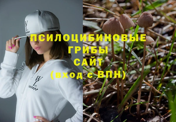 ALPHA PVP Алексин