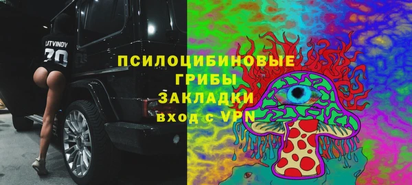 ALPHA PVP Алексин