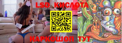 прущие крисы Тула