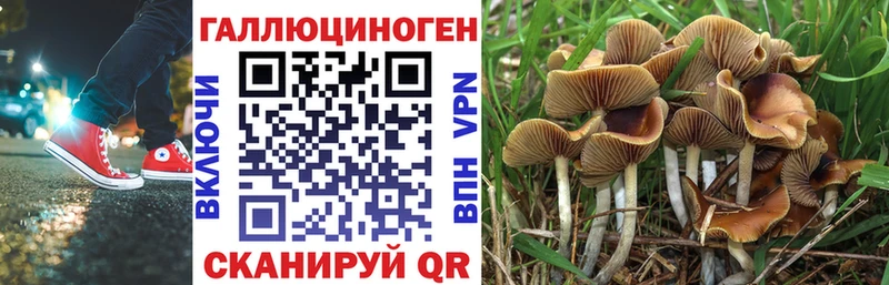 Псилоцибиновые грибы Psilocybine cubensis купить закладку Челябинск