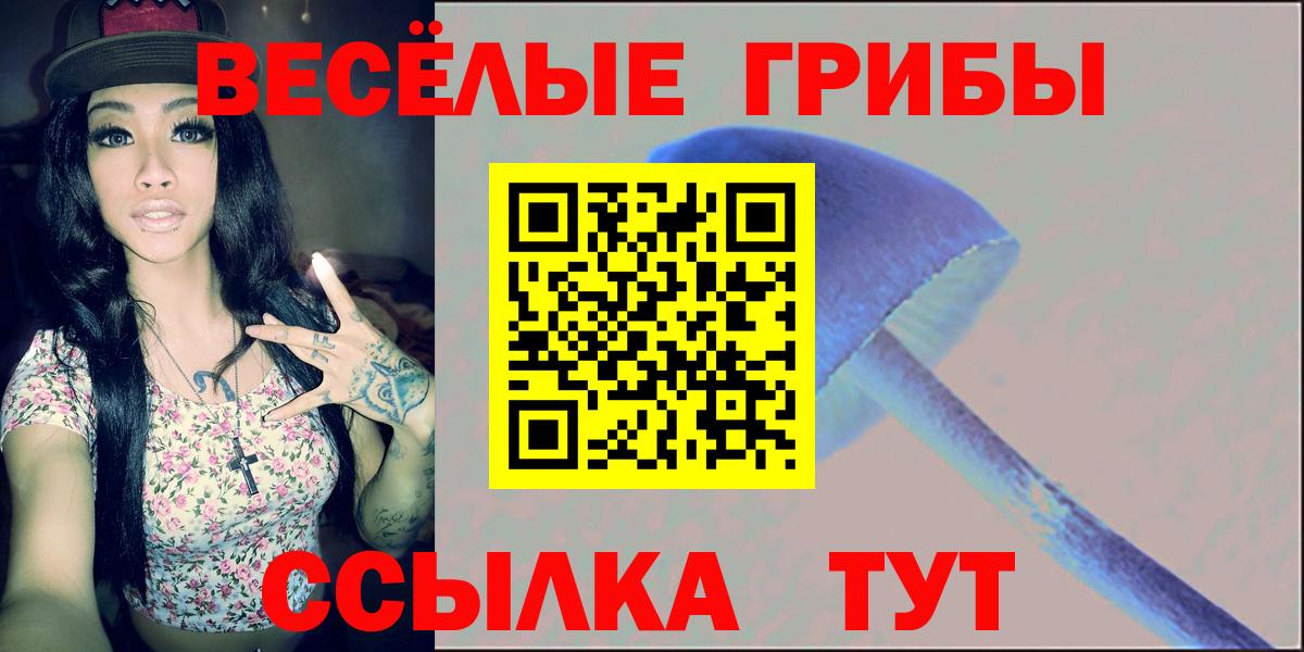 Псилоцибиновые грибы Cubensis  Вход с VPN  Челябинск  Псилоцибиновые грибы Psilocybe 